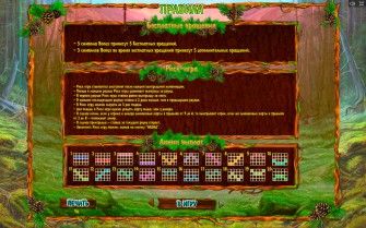 Правила игры в онлайн слоте Медведь в Тайге
